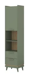 scandi-regal-1d2s-zgaszona-zielen-dab-olejowany