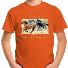 t-shirt-koszulka-dla-dziecka-konie-116-super-jakosc