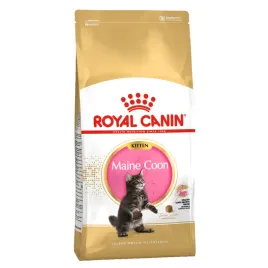 sucha-karma-royal-canin-maine-coon-kitten-dla-kociat-4-kg