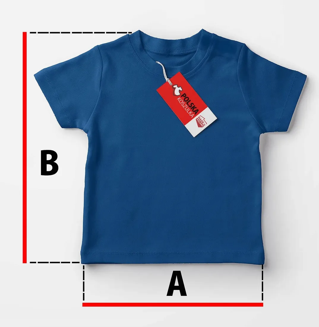 koszulka-t-shirt-robin-dc-comics-l-jakosc