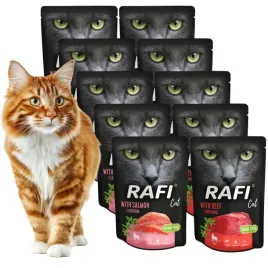 zestaw-rafi-cat-20x300-g-mix-smakow-or-losos-wolowina-or