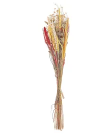 bukiet-suszonych-kwiatow-pampeluna-65-cm-naturalny