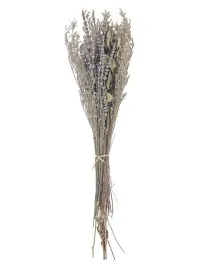 bukiet-suszonych-kwiatow-nawarra-70-cm-naturalny