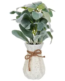 sztuczna-roslina-peperomia-argyreia-30-cm-zielony