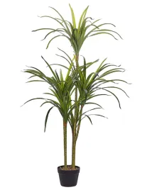 sztuczna-roslina-dracaena-anita-147-cm-zielony