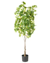 sztuczna-roslina-ginkgo-tree-150-cm-zielony