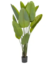 sztuczna-roslina-banana-tree-187-cm-zielony