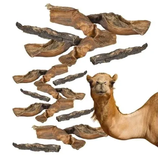 petmex-zwacz-wielblada-200g-rodzaj-gryzaki