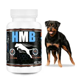 game-dog-hmb-suplement-psa-psy-sportowe-regeneracja-miesni-dysplazja-120tab