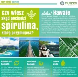 spirulina-hawajska-pacifica-500-mg-2400-tabletek-postac-tabletki