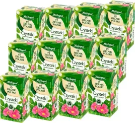 x12-herbapol-zielnik-czystek-20tb