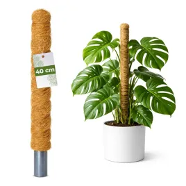 palik-kokosowy-podpora-do-roslin-pnacych-monstera-40-cm-srednica-32mm