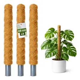 palik-kokosowy-podpora-do-roslin-pnacych-monstera-40-cm-x-32mm-zestaw-3-szt
