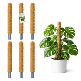 palik-kokosowy-podpora-do-roslin-pnacych-monstera-40-cm-x-32mm-zestaw-6-szt