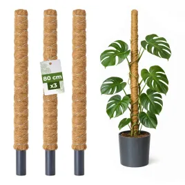 palik-kokosowy-podpora-do-roslin-pnacych-monstera-80-cm-x-32mm-zestaw-3-szt