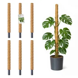 palik-kokosowy-podpora-do-roslin-pnacych-monstera-80-cm-x-32mm-zestaw-6-szt