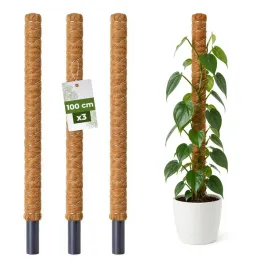 palik-kokosowy-podpora-do-roslin-pnacych-monstera-100cm-x-32mm-zestaw-3-szt
