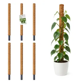palik-kokosowy-podpora-do-roslin-pnacych-monstera-100cm-x-32mm-zestaw-6-szt