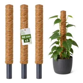 palik-kokosowy-podpora-do-roslin-pnacych-monstera-50-cm-x-32mm-zestaw-3-szt