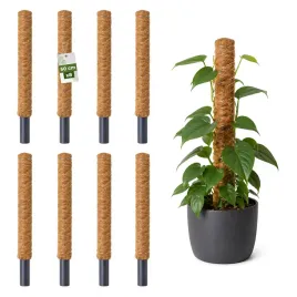palik-kokosowy-podpora-do-roslin-pnacych-monstera-50-cm-x-32mm-zestaw-8-szt