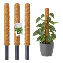 palik-kokosowy-podpora-do-roslin-pnacych-monstera-60-cm-x-32mm-zestaw-3-szt