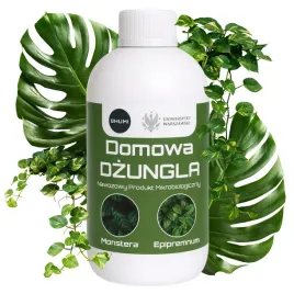 bhumi-domowa-dzungla-monstera-epipremnum-05-l
