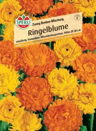 nagietek-lekarski-zwerg-bonbon-mischung-nasiona-premium-sperli
