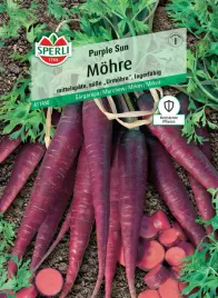 marchew-purple-sun-f1-nasiona-premium-sperli