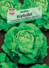 salata-glowiasta-attraktion-nasiona-premium-sperli