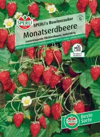 poziomka-pospolita-sperli-s-bowlenzauber-nasiona-premium-sperli