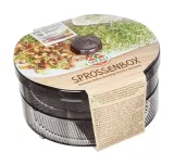kielkarka-sprossenbox-sperli