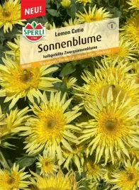 slonecznik-lemon-cutie-nasiona-premium-sperli