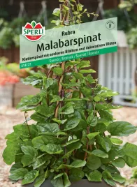 szpinak-malabarski-rubra-nasiona-premium-sperli