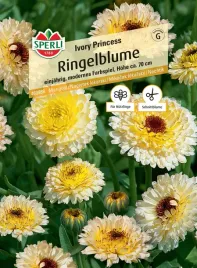 nagietek-lekarski-ivory-princess-nasiona-premium-sperli
