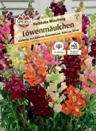 lwia-paszcza-lowenmaulchen-halbhohe-mischung-nasiona-premium-sperli