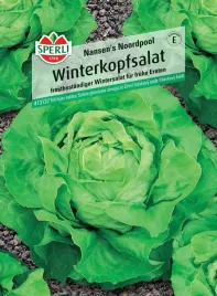salata-glowiasta-zimujaca-nansen-s-noordpool-nasiona-sperli