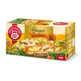 teekanne-ginger-and-sea-buckthorn-rokitnik-ex20