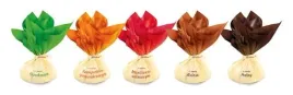praliny-czekoladki-hildebrands-aleksandra-mix-1kg