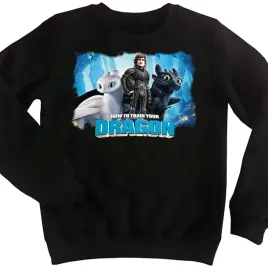 najlepsza-bluza-dziecieca-dla-dzieci-jak-wytresowac-smoka-140-jakosc