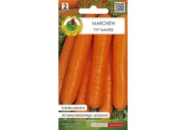 marchew-jadalna-nantes-3-2g-nswp1457