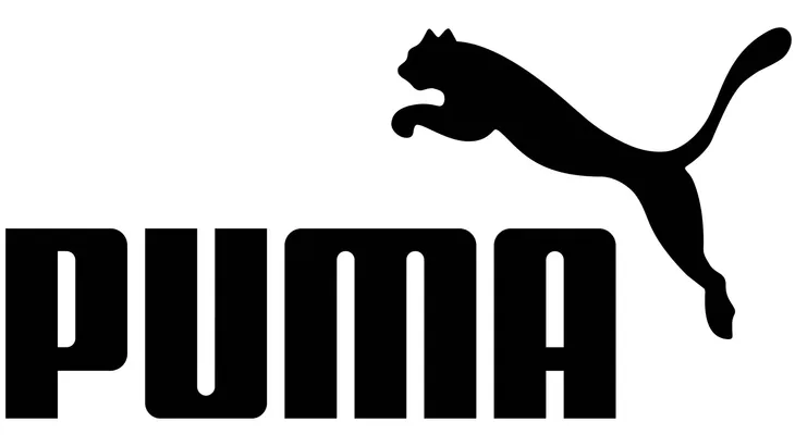 puma-buty-dzieciece-z-siatki-na-rzepy-lekkie-flyer-runner-19292901-r-285-stan-nowy