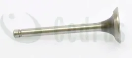 zawor-wydechowy-robin-ex17-czesc-oryginalna-0001100051