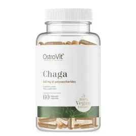 chaga-kontycja-odpornosc-ostrovit-wytrzymalosc-duza-kondycja-huba-wow-hit