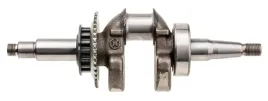 wal-korbowy-cedrus-stopa-st01-070608
