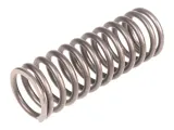 sprezyna-cedrus-duza-stopa-st01-070572