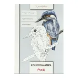 kolorowanka-ptaki