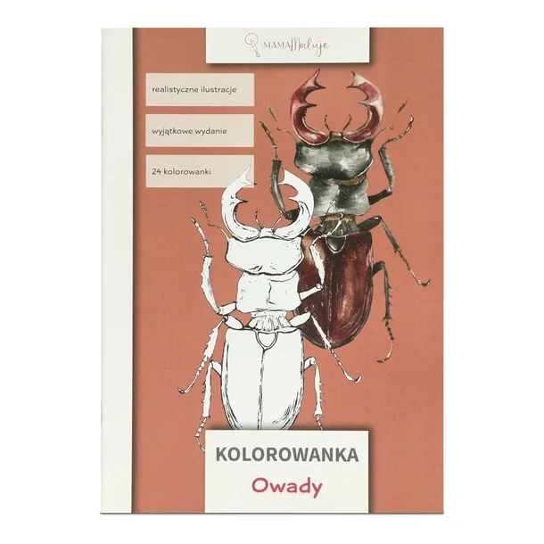 kolorowanka-owady