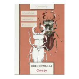 kolorowanka-owady