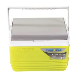 lodowka-mala-kempingowa-pinnacle-tpx-6006-45l-zielona-na-wklady-zelowe