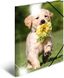 herma-animals-series-teczka-a3-na-dokumenty-rysunki-z-nadrukiem-pieskow